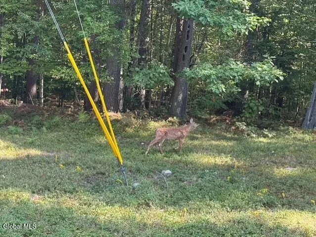 $139,900 | L8 Wrights Farm Road, Bolton Landing, NY 12814