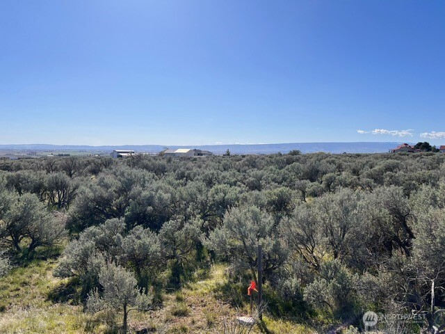 0 Adams Road Southwest Quincy, WA 98848 - Photo 7 of 15