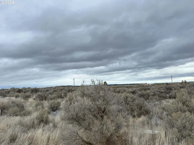 a view of a dry space with lots of trees