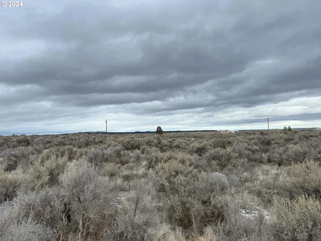 a view of a big yard with large trees