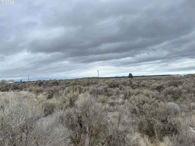 a view of a dry yard with wooden fence