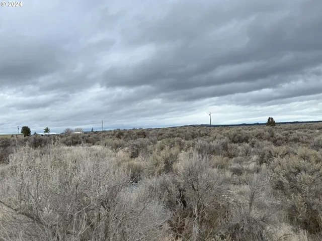 a view of a dry space with lots of trees