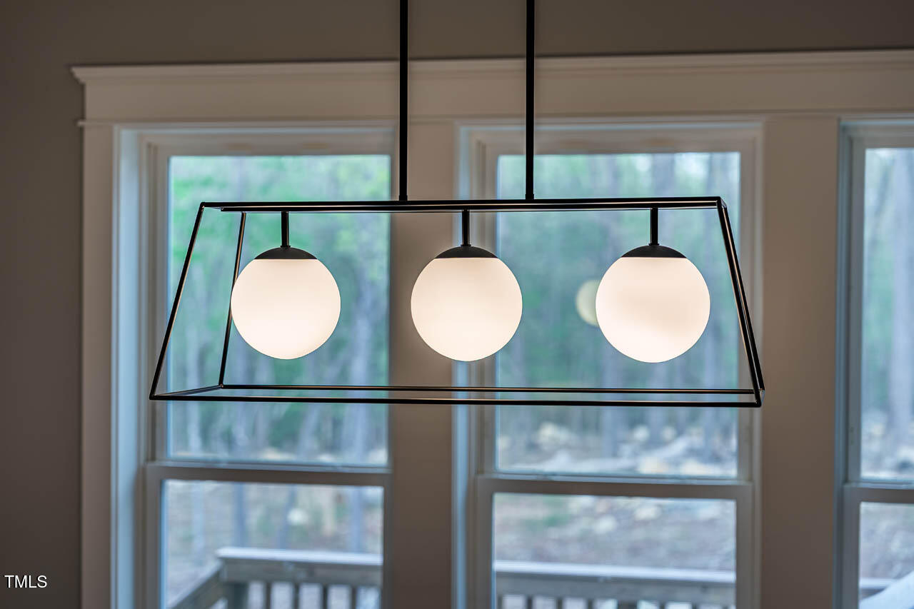 215 Bonterra Way Chapel Hill, NC 27516 - Photo 55 of 67 215BonterraWay-75