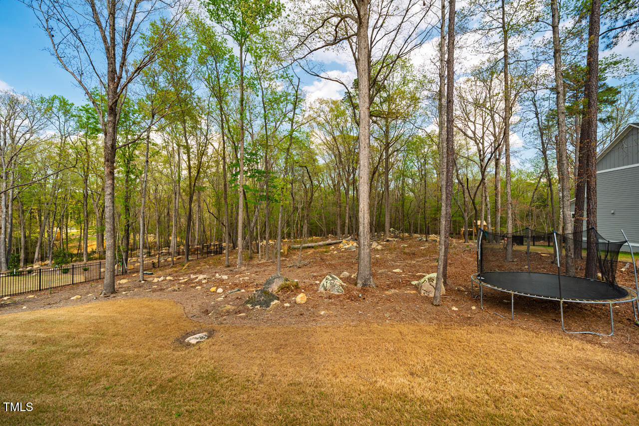 215 Bonterra Way Chapel Hill, NC 27516 - Photo 62 of 67 215BonterraWay-20