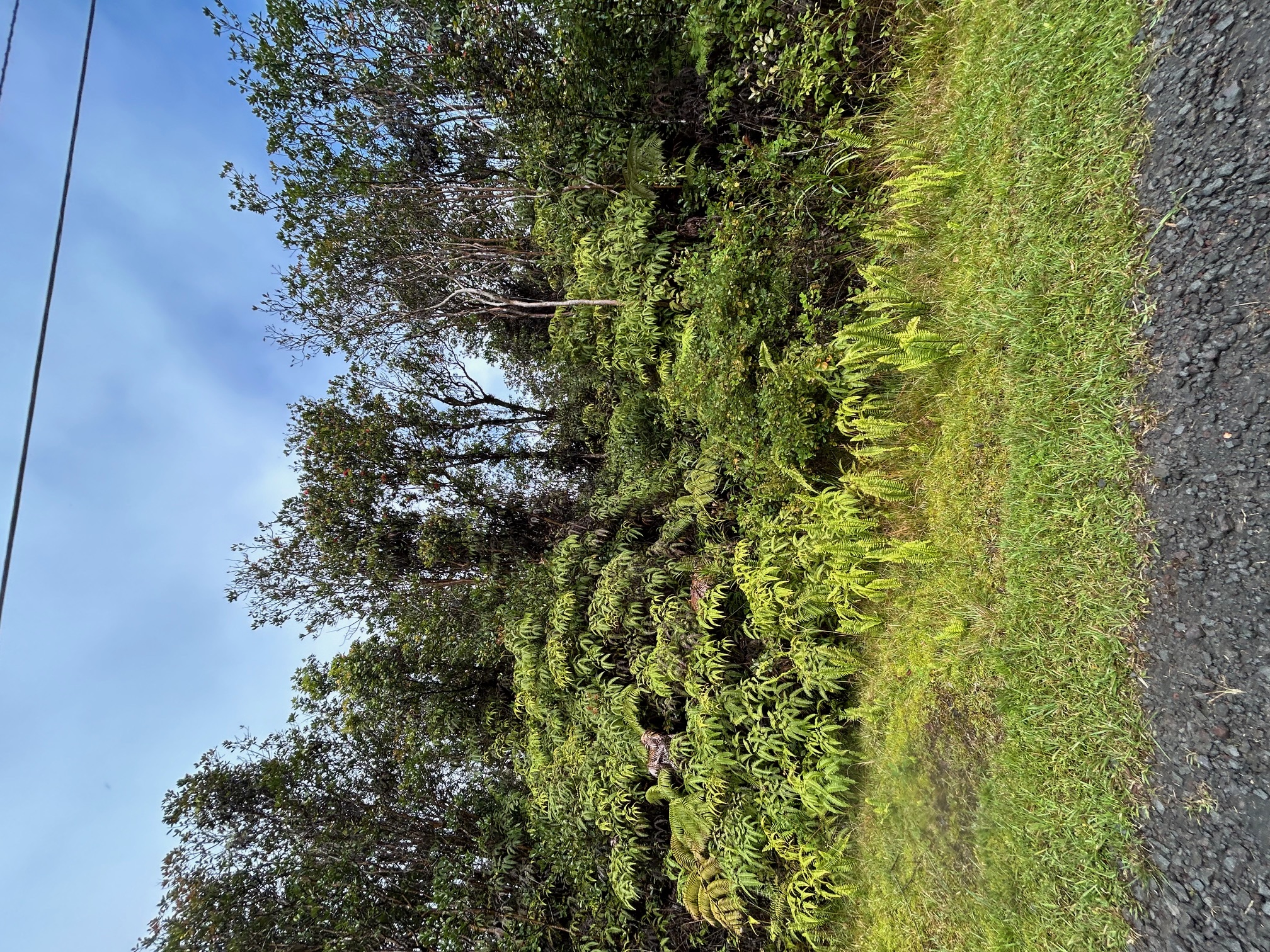 11-2496 Lot 65 Makoa Road Mountain View, HI 96771 - Photo 2 of 6