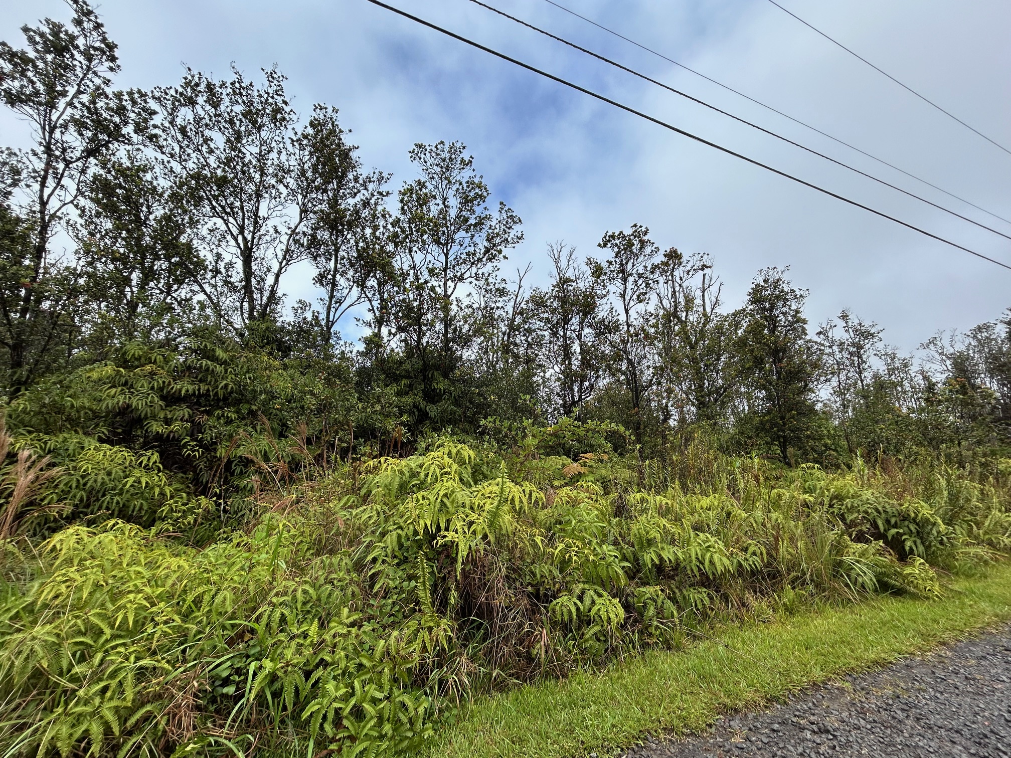 11-2496 Lot 65 Makoa Road Mountain View, HI 96771 - Photo 6 of 6