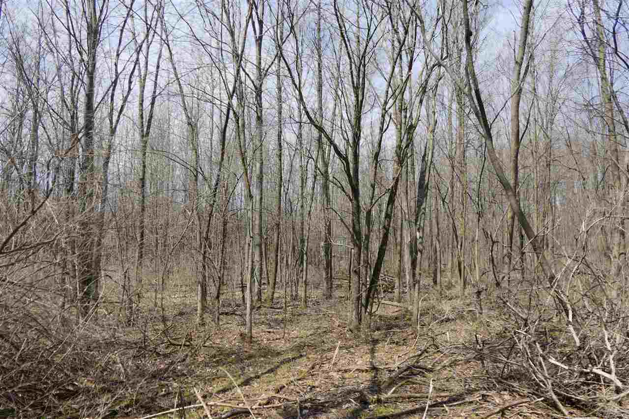 Lot 2 Hog Island Road Swanton, VT 05488 - Photo 4 of 7 Gallery Image 4