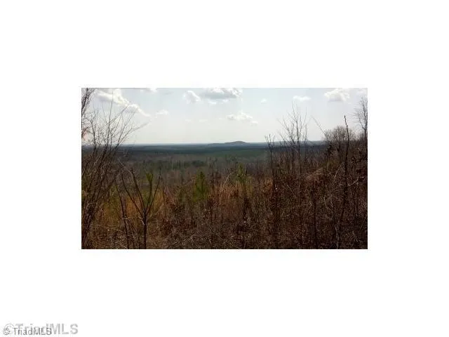 $450,000 | 0 Lucas Road, Star, NC 27356