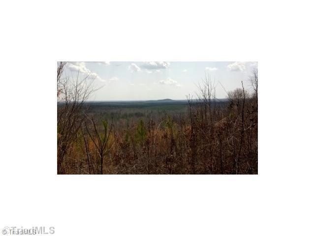 0 Lucas Road Star, NC 27356 - Photo 1 of 2