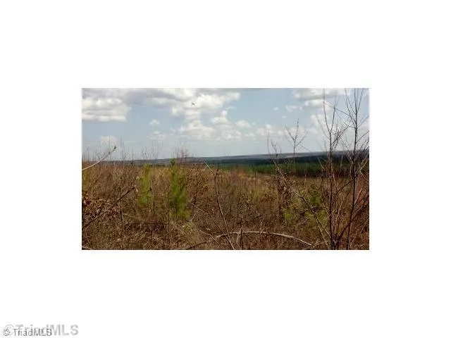 $450,000 | 0 Lucas Road, Star, NC 27356