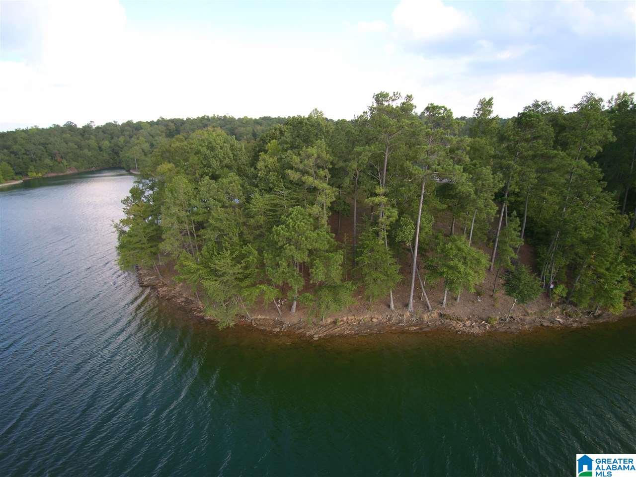 Tranquility Lane Wedowee, AL 36278 - Photo 3 of 13