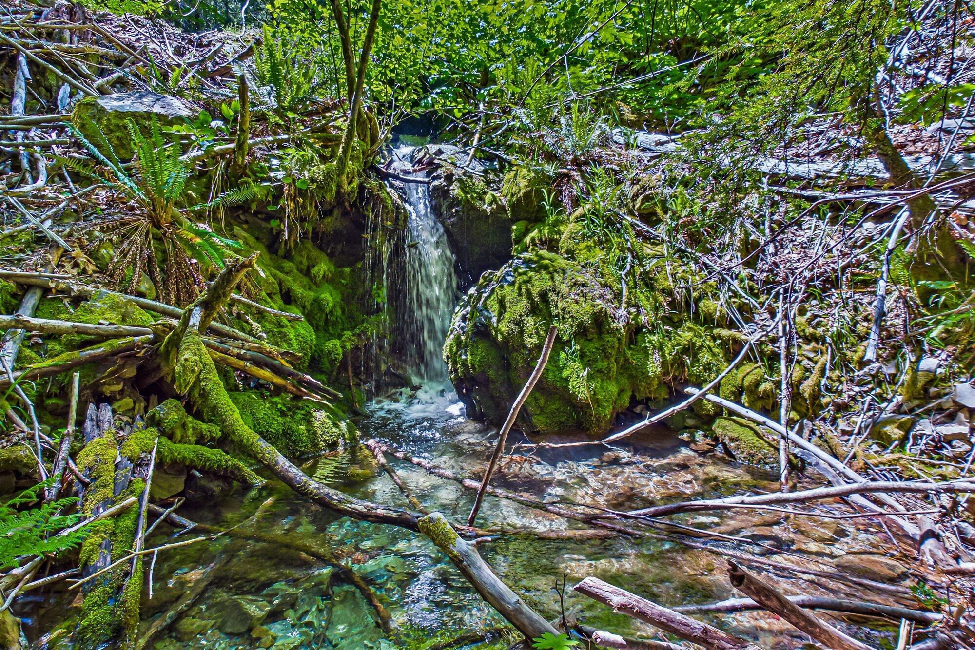 0 Forest Rte 4N20 Road Hayfork, CA 96041 - Photo 8 of 22