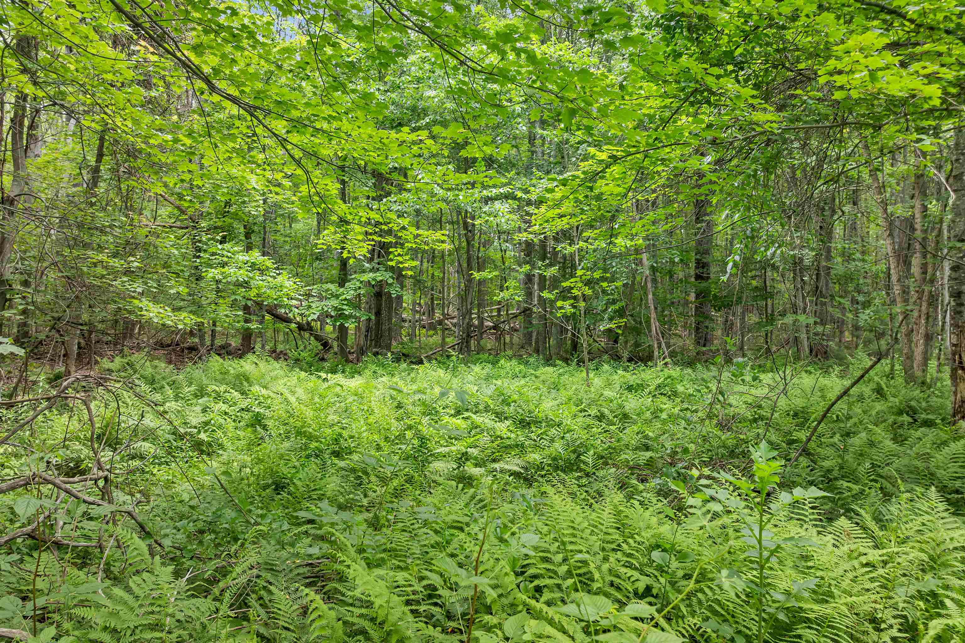 0 Severance Road, Unit 1 Laconia, NH 03246 - Photo 11 of 24