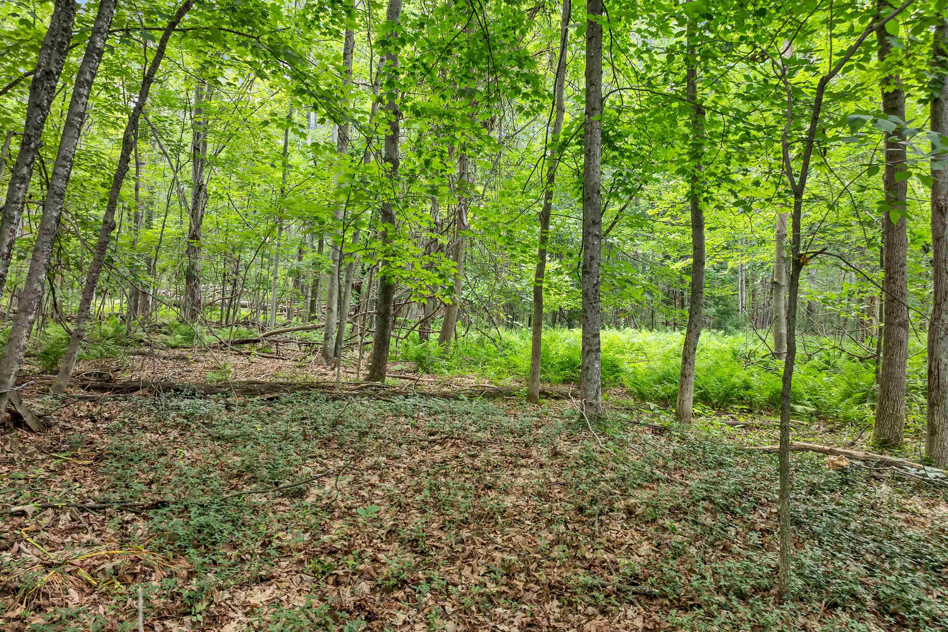 0 Severance Road, Unit 1 Laconia, NH 03246 - Photo 12 of 24