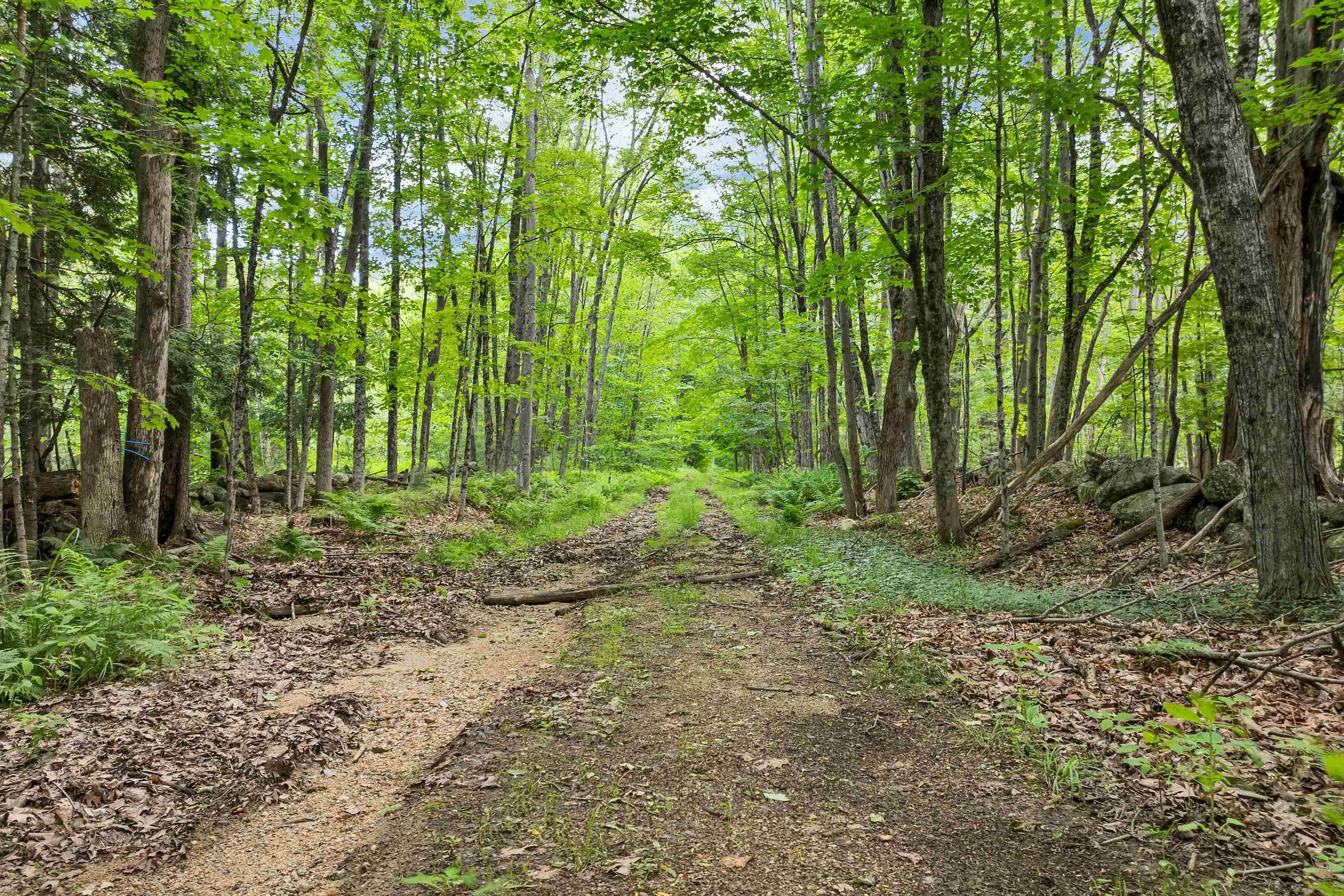 0 Severance Road, Unit 1 Laconia, NH 03246 - Photo 13 of 24