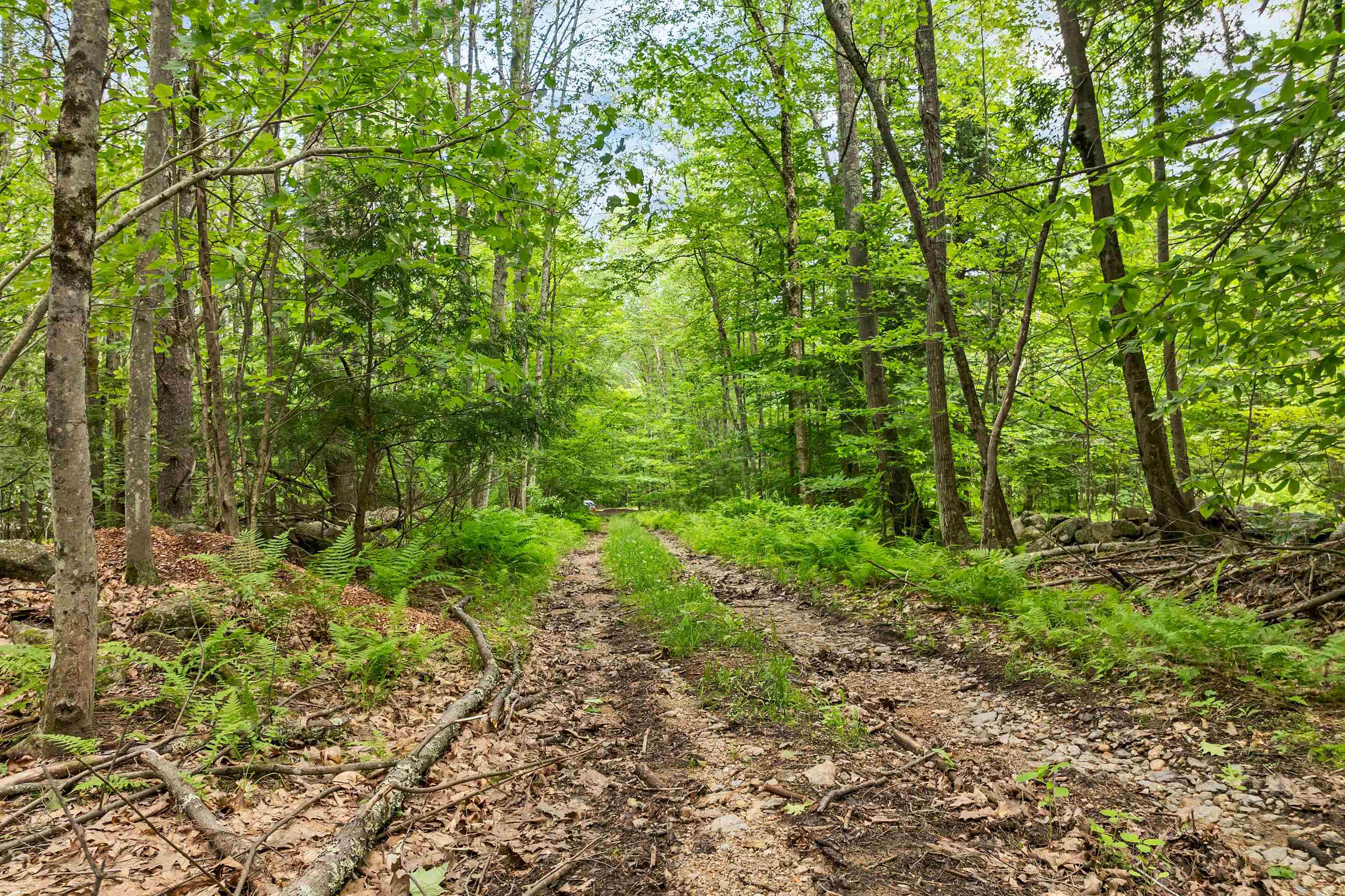 0 Severance Road, Unit 1 Laconia, NH 03246 - Photo 14 of 24