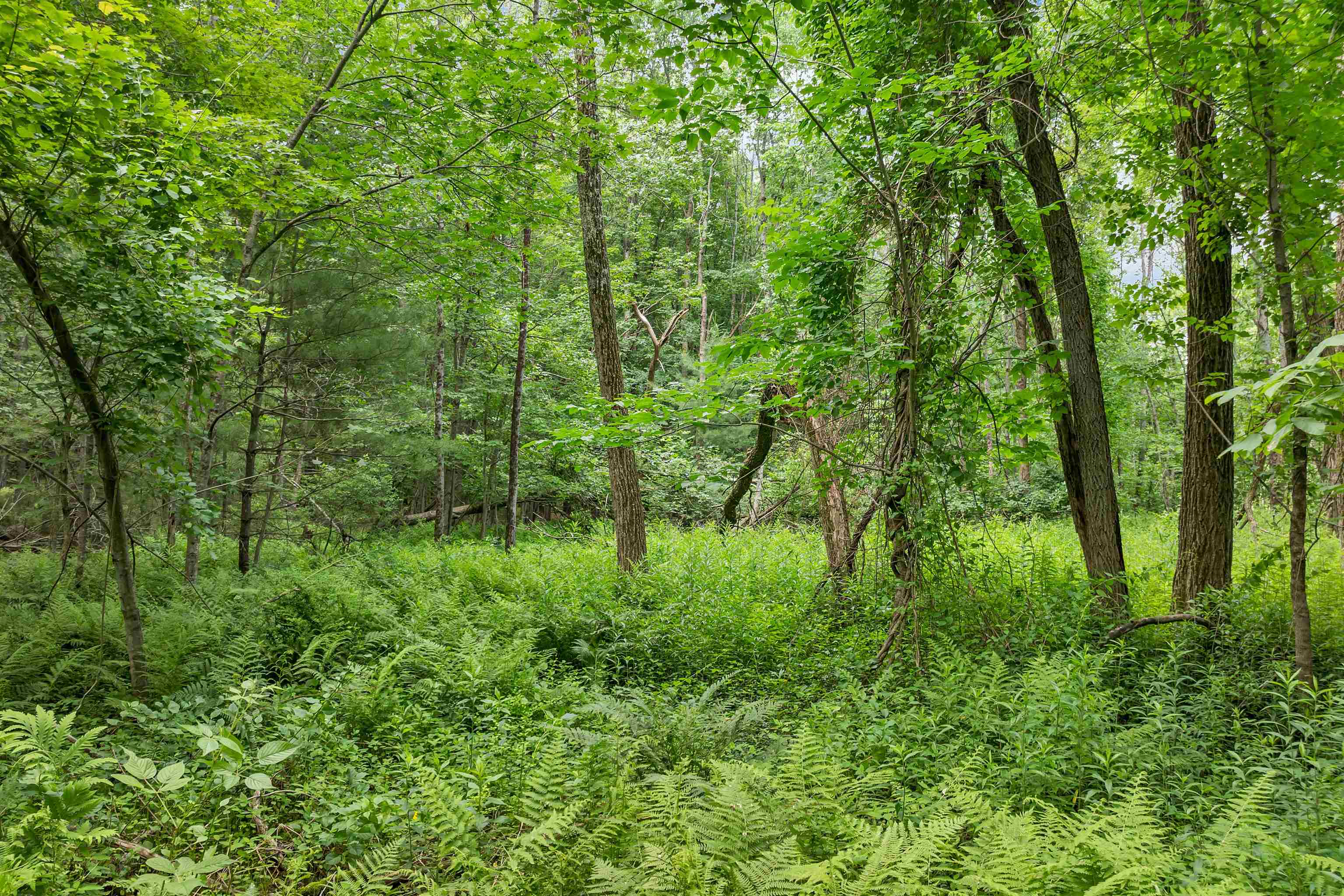 0 Severance Road, Unit 1 Laconia, NH 03246 - Photo 15 of 24