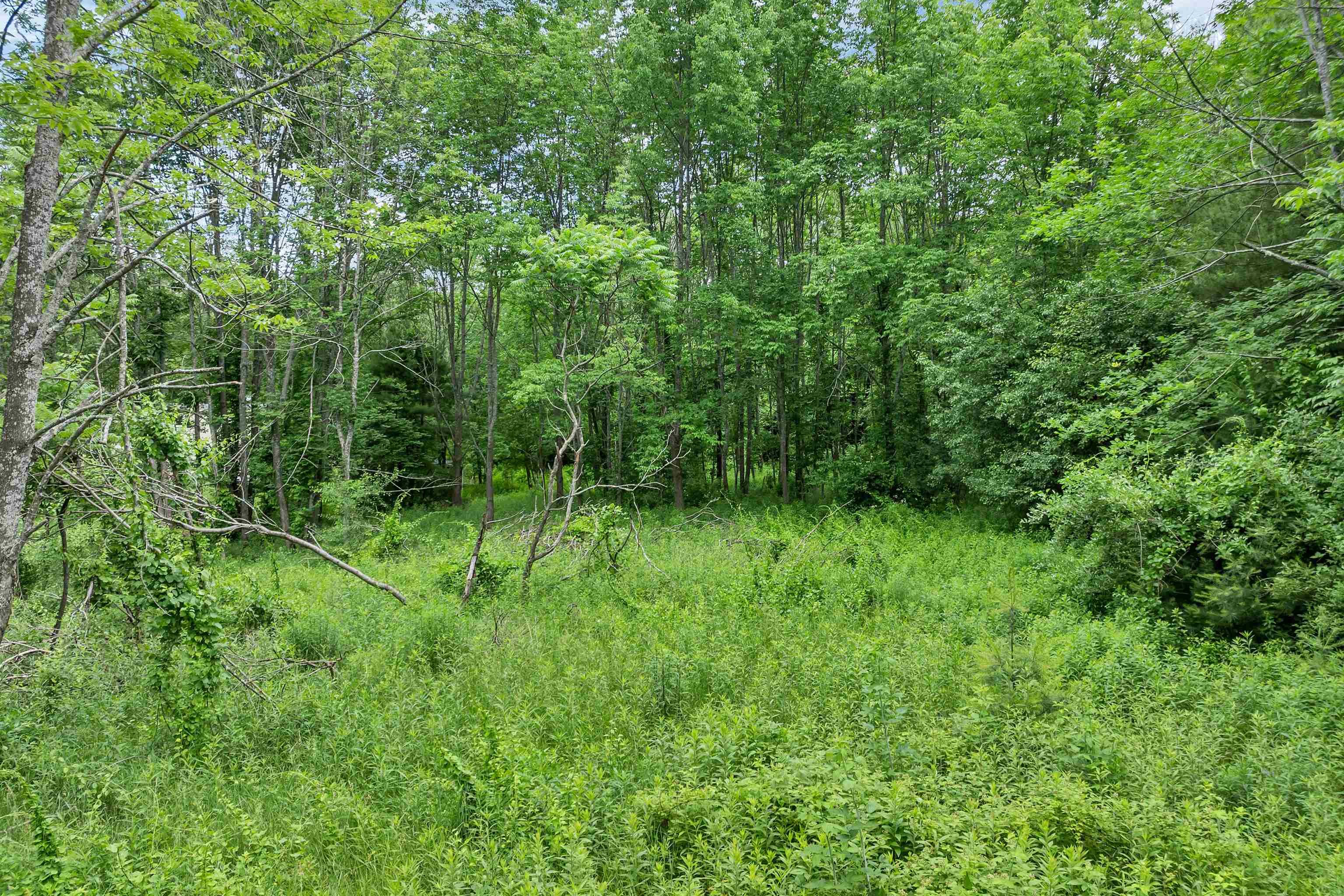 0 Severance Road, Unit 1 Laconia, NH 03246 - Photo 24 of 24