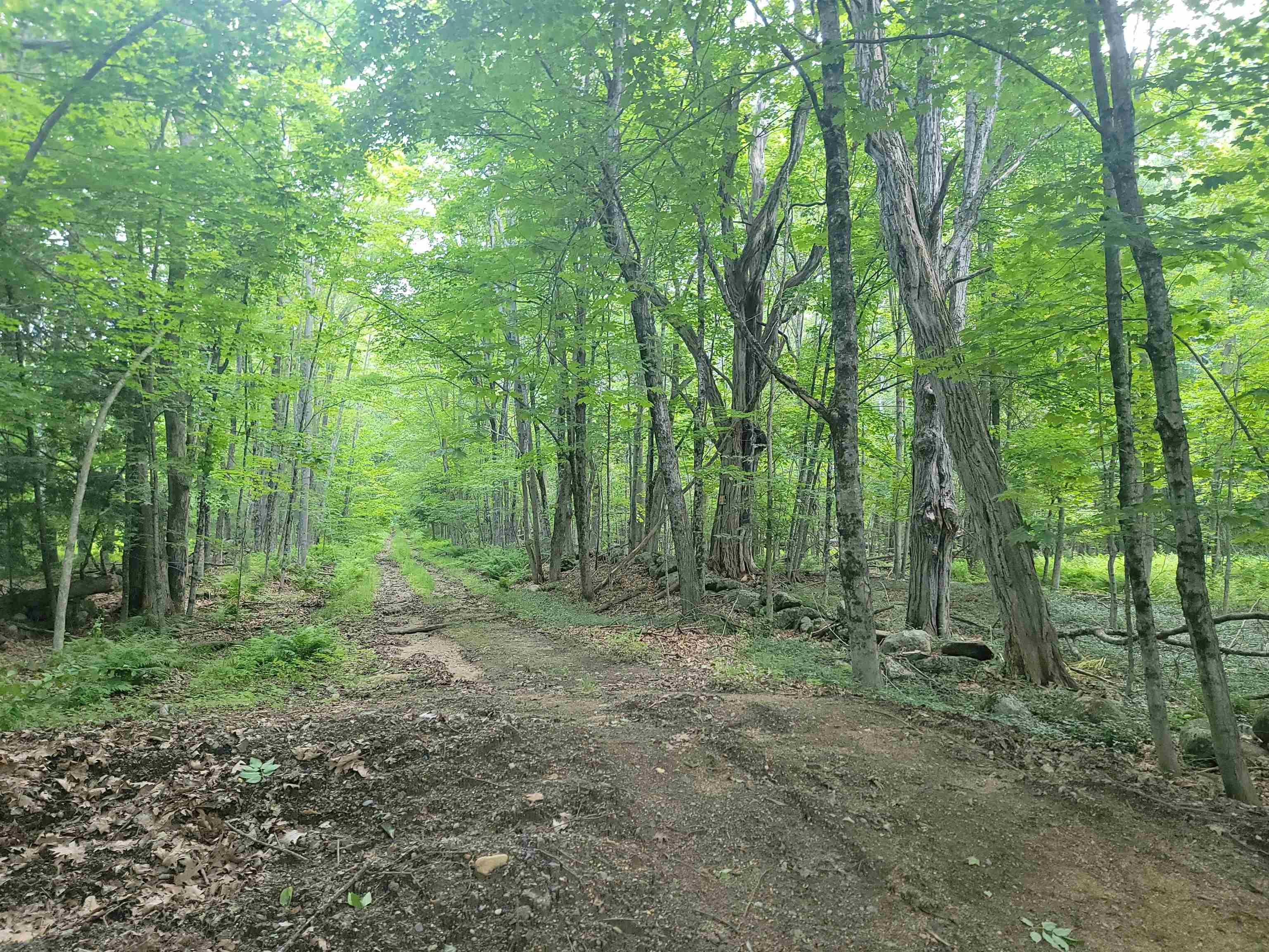 0 Severance Road, Unit 1 Laconia, NH 03246 - Photo 6 of 24