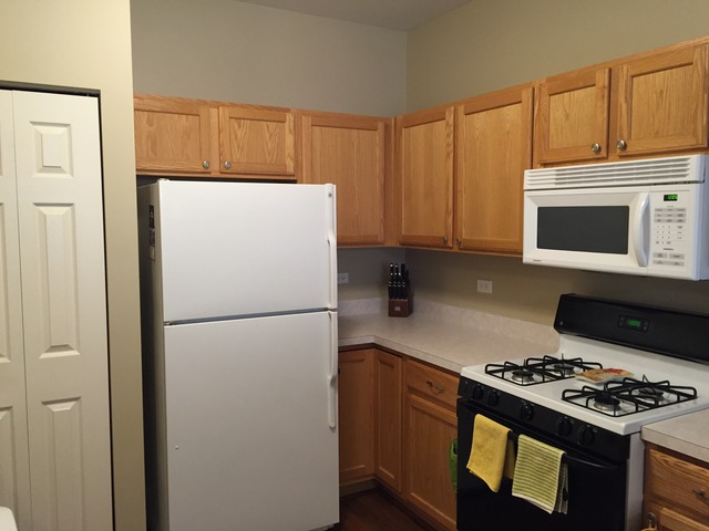 3141 Falling Waters Lane, Unit 3141 Lindenhurst, IL 60046 - Photo 2 of 10