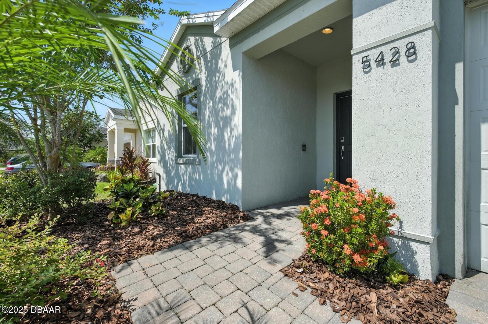 5428 Estero Loop Port Orange, FL 32128 - Photo 5 of 41 a plant that is in front of a house