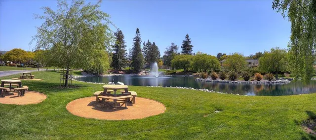 a view of outdoor space with deck and trees