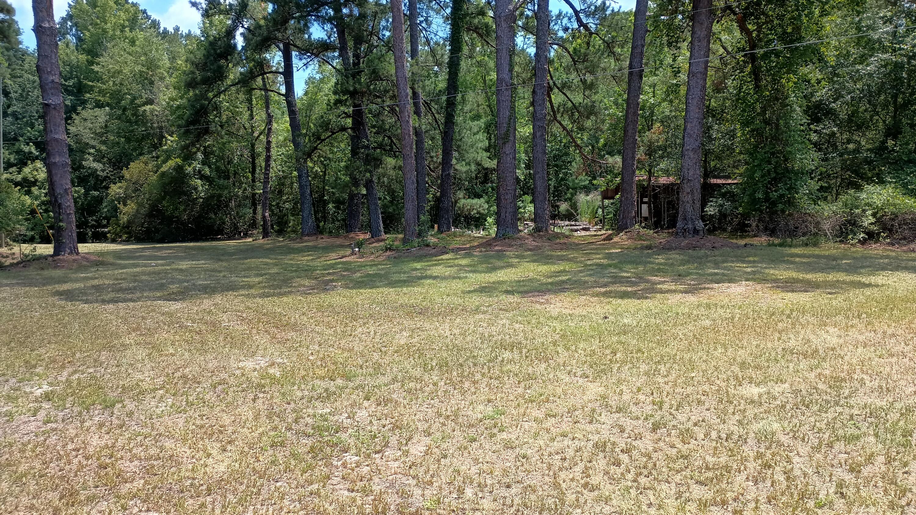 934 Bobwhite Trail Hampton, SC 29924 - Photo 18 of 27 Side Yard