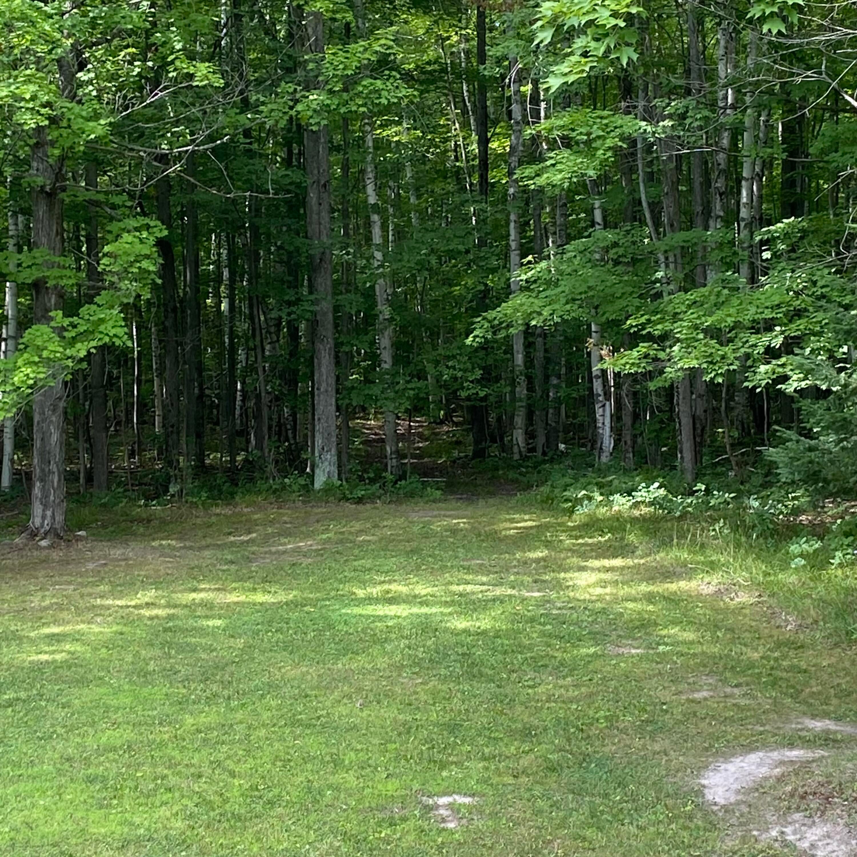 16298 Jakes Road Lachine, MI 49753 - Photo 11 of 32 Gallery Image 11