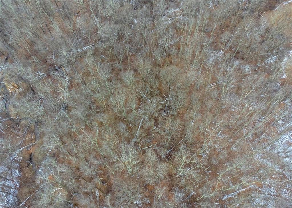 4930 Ashbaugh Road Murrysville, PA 15668 - Photo 44 of 44