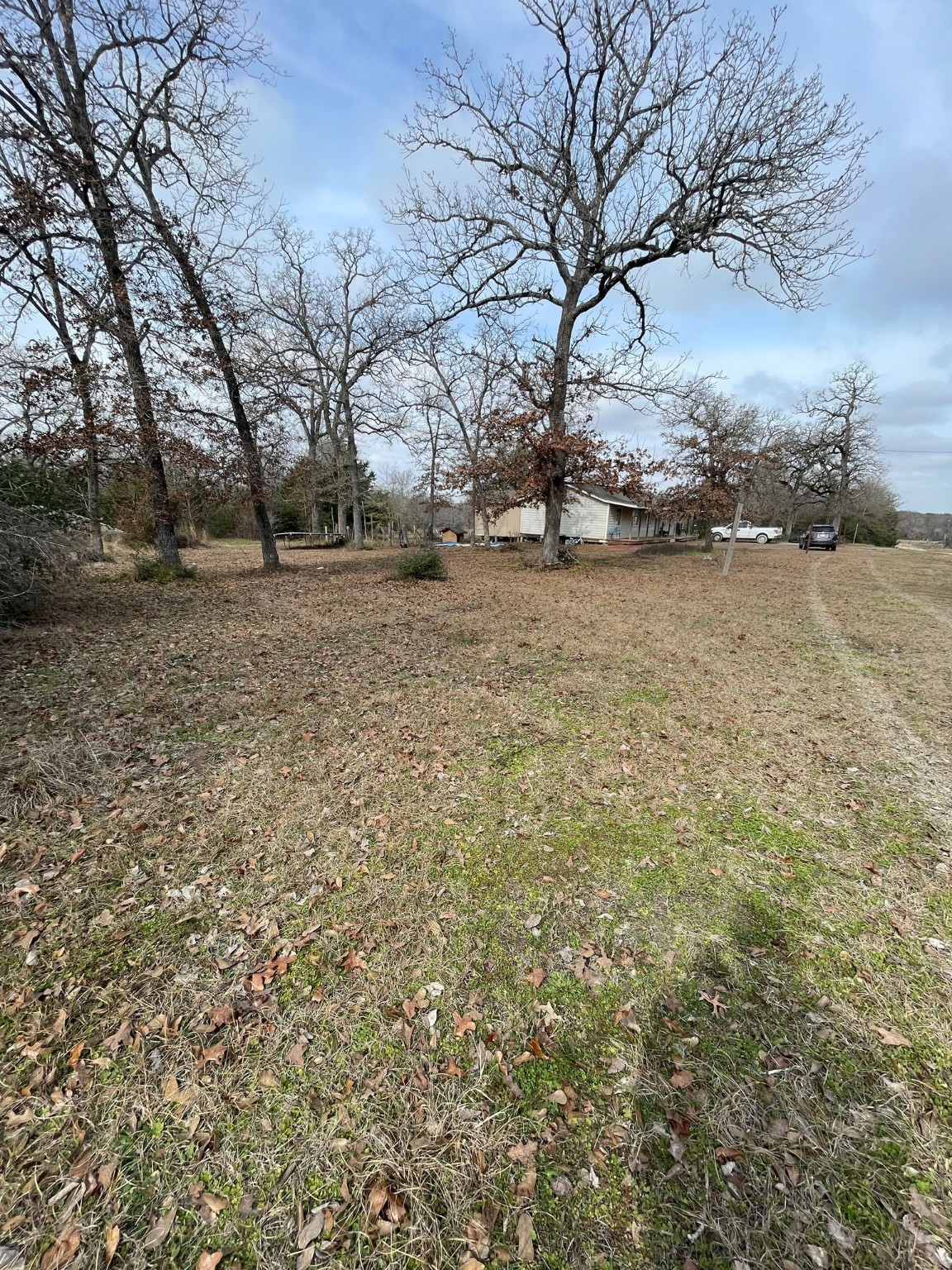 26113 Tyler Park Road Bedias, TX 77831 - Photo 2 of 18 a view of outdoor space with green space