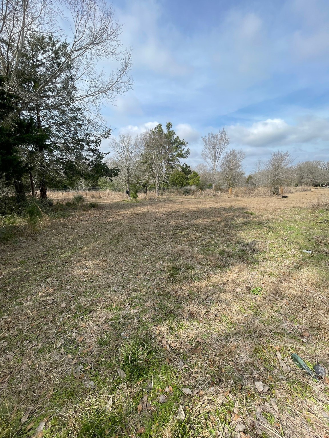 26113 Tyler Park Road Bedias, TX 77831 - Photo 4 of 18 a view of an ocean and beach