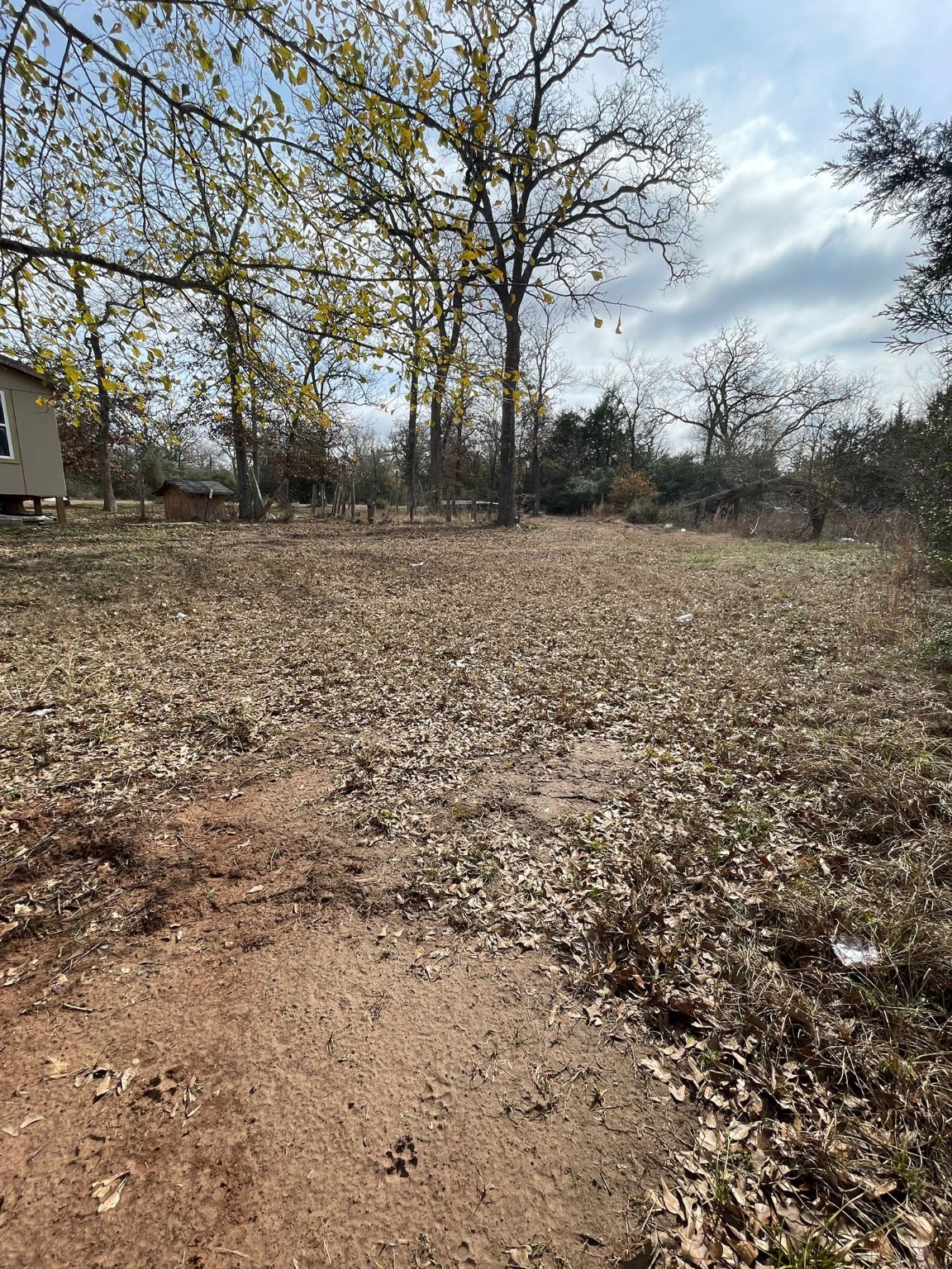 26113 Tyler Park Road Bedias, TX 77831 - Photo 5 of 18 a view of house with a outdoor space