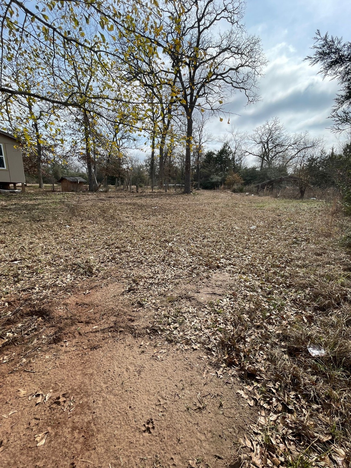 26113 Tyler Park Road Bedias, TX 77831 - Photo 6 of 18