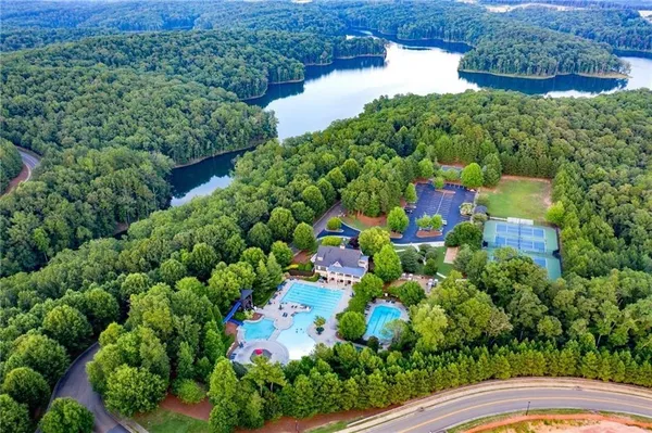 a view of a garden with plants