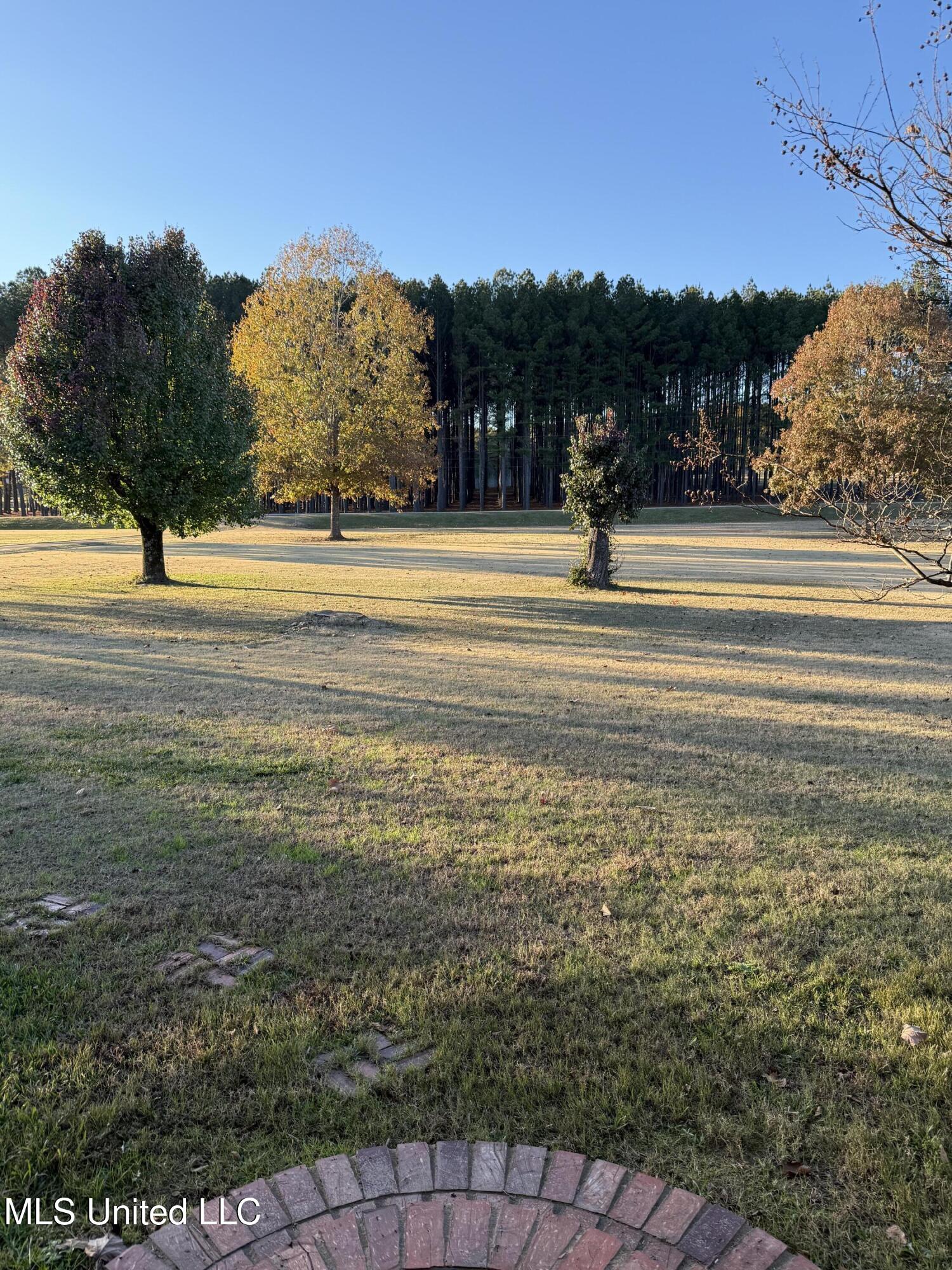 2425 Perry Road Grenada, MS 38901 - Photo 33 of 37 IMG_2266