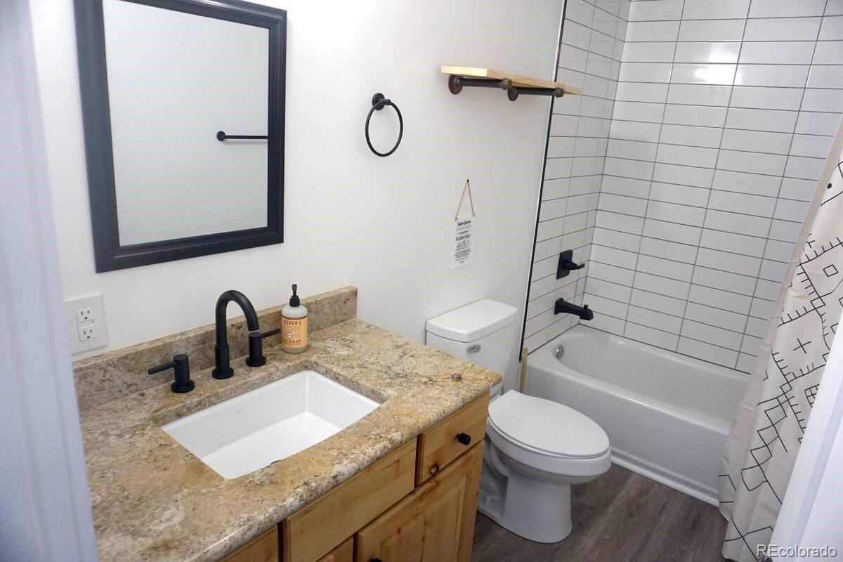 288 Roberts Road Alma, CO 80420 - Photo 8 of 24