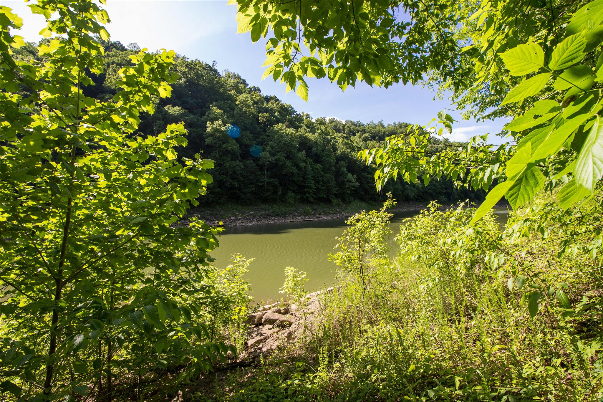 19 Rolling Acres Road Smithville, TN 37166 - Photo 8 of 17 Gallery Image 8