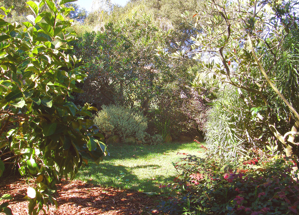 40 Pine Drive Santa Barbara, CA 93105 - Photo 22 of 30 a backyard of a house