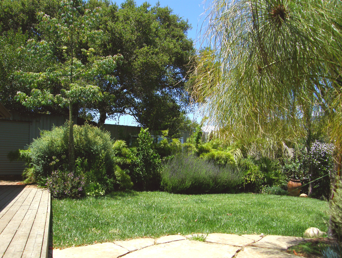 40 Pine Drive Santa Barbara, CA 93105 - Photo 23 of 30 a view of a garden with a tree