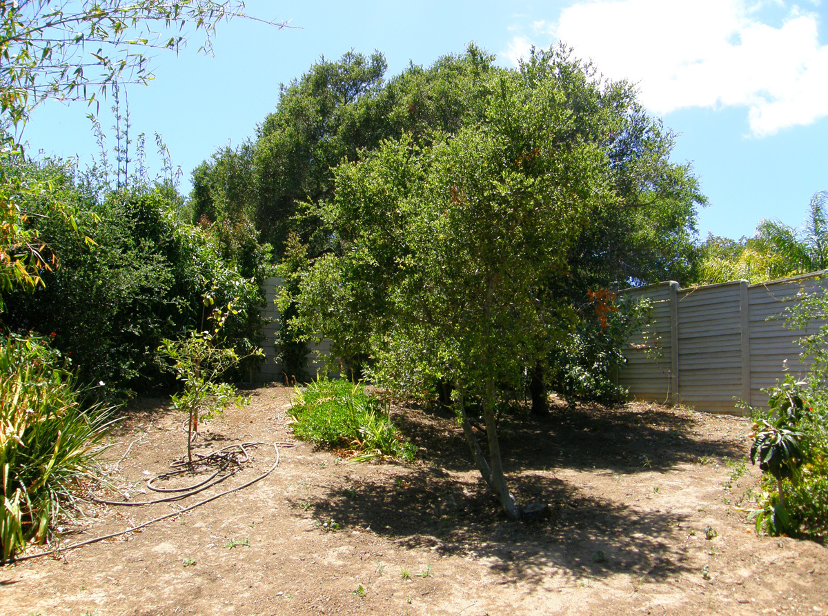 40 Pine Drive Santa Barbara, CA 93105 - Photo 24 of 30 a view of a lake with a tree