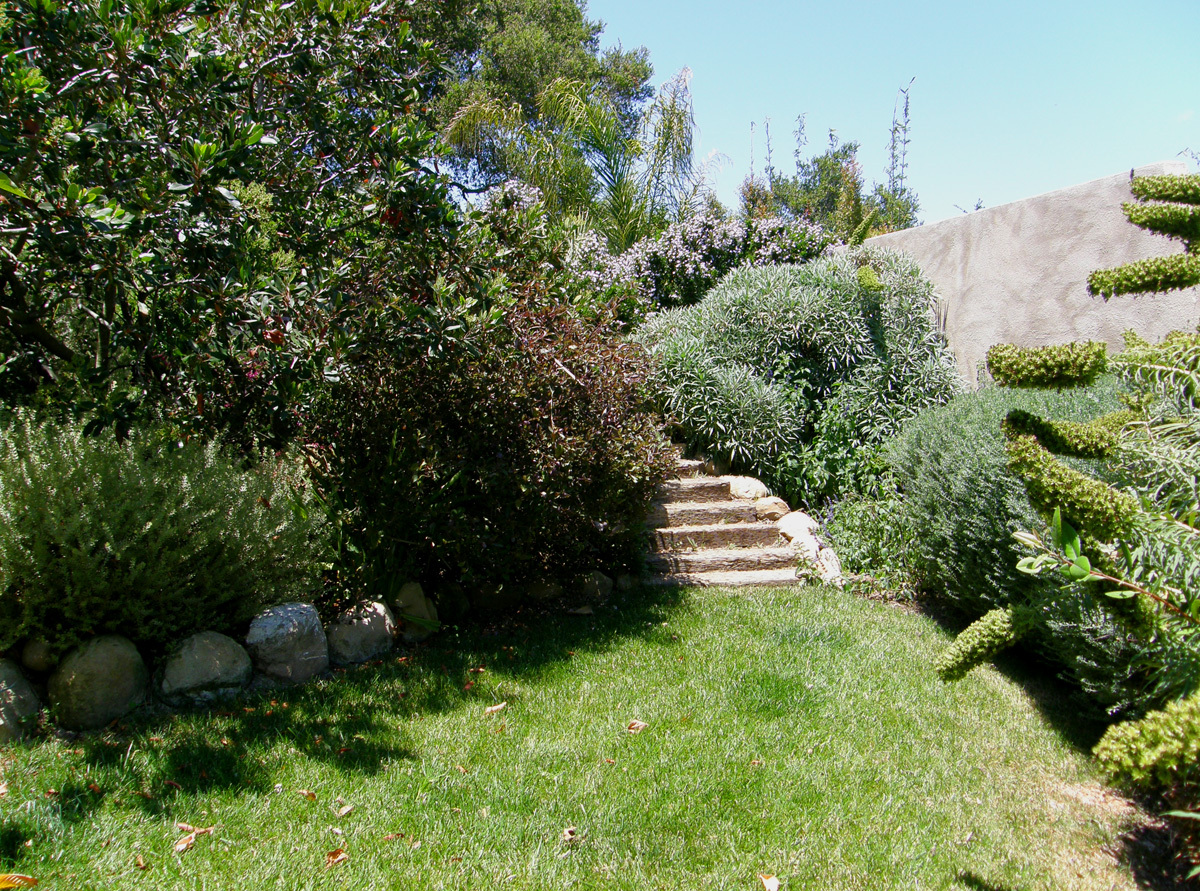 40 Pine Drive Santa Barbara, CA 93105 - Photo 25 of 30 a view of a garden with a bench