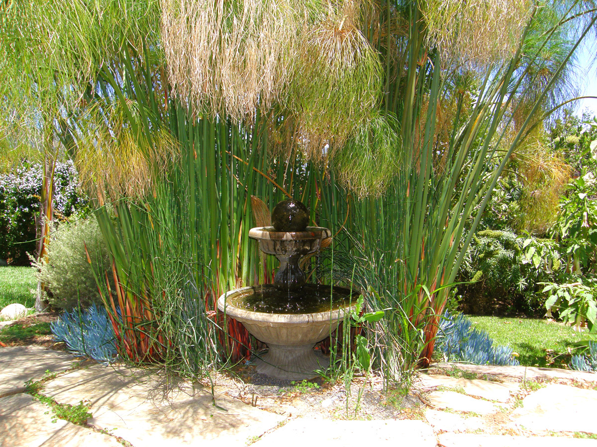 40 Pine Drive Santa Barbara, CA 93105 - Photo 29 of 30 a view of a backyard of the house