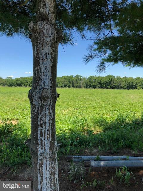 0 Crystal Road Elmer, NJ 08318 - Photo 4 of 5 Open field, before planting