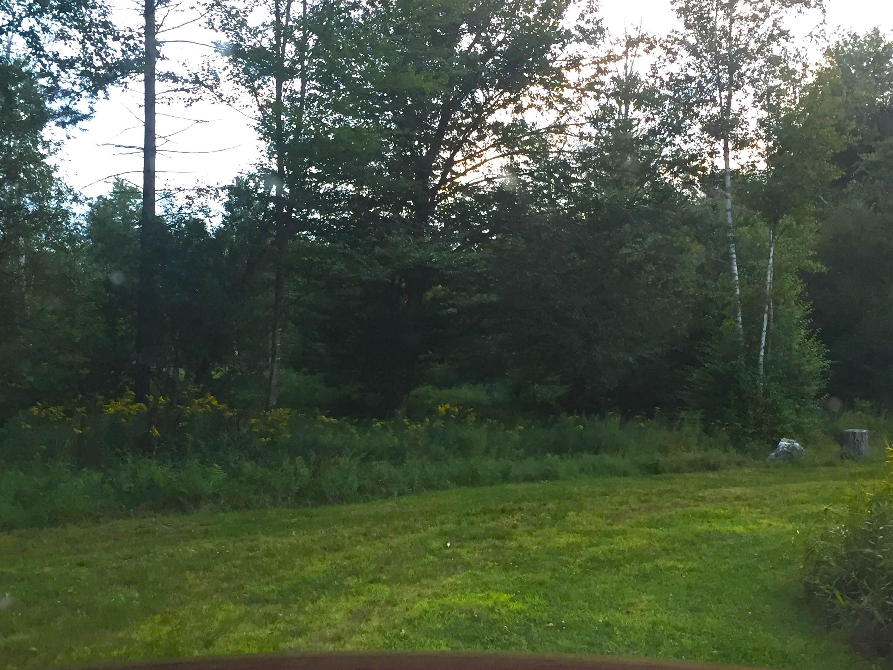 2793 Rupert Road Sandgate, VT 05250 - Photo 1 of 15 Gallery Image 1