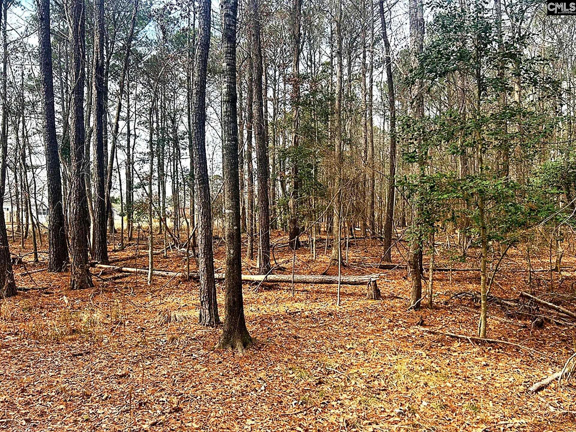 0 Circle H Woods Road Prosperity, SC 29127 - Photo 10 of 21