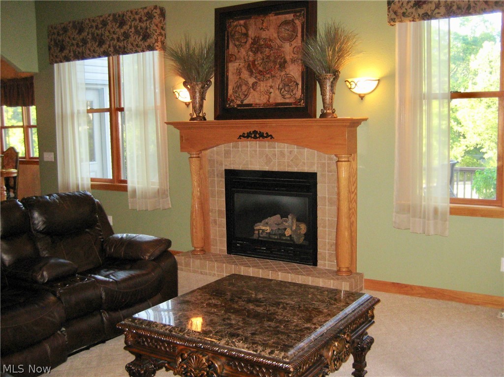 4710 Rabbit Ridge Canfield, OH 44406 - Photo 10 of 34 Gallery Image 10