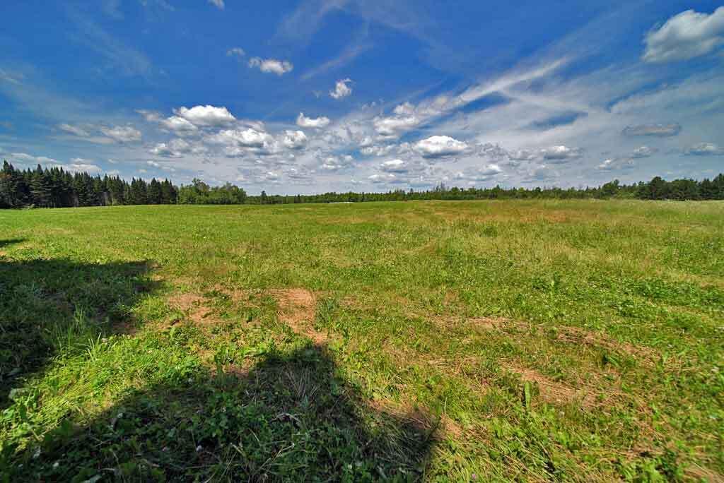 Lot 7 Drews Lake Road Houlton, ME 04730 - Photo 6 of 34 farm-field-maine-agricultur