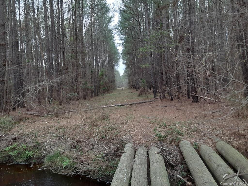 0 Lovin Road Rockingham, NC 28379 - Photo 3 of 6 a view of a backyard