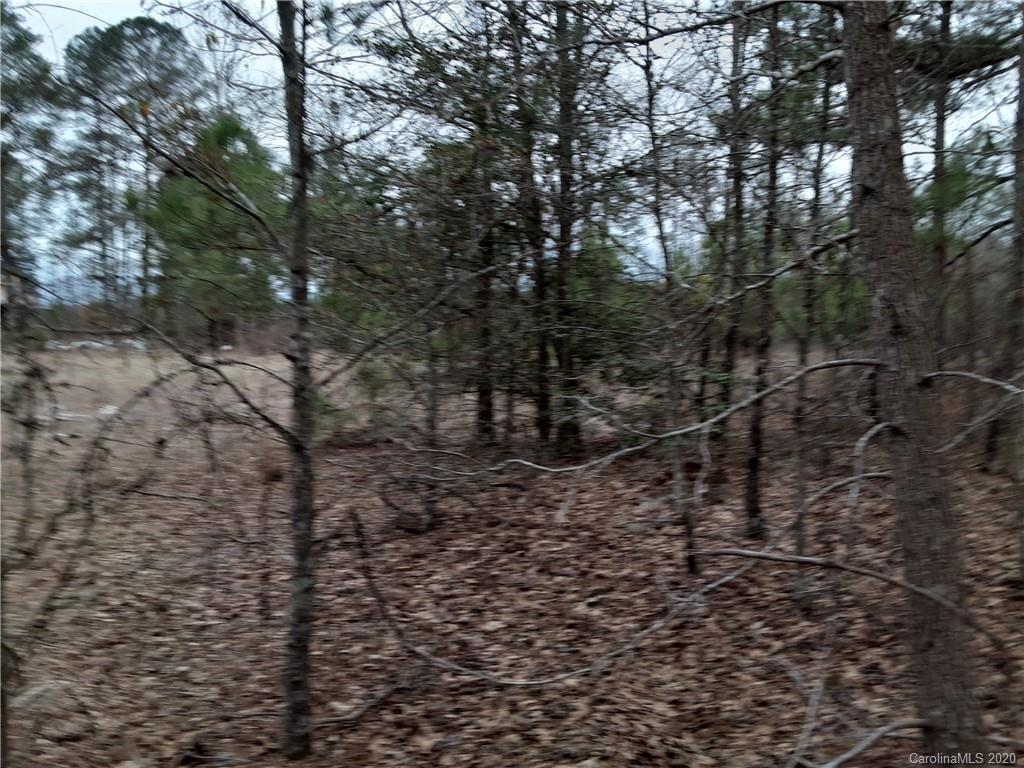 0 Lovin Road Rockingham, NC 28379 - Photo 5 of 6 a view of a forest with a tree