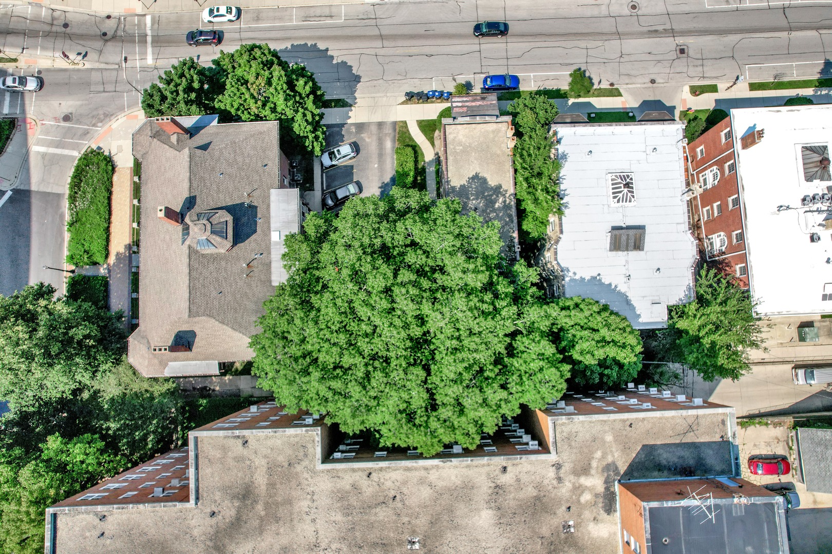 624 Clark Street Evanston, IL 60201 - Photo 23 of 25